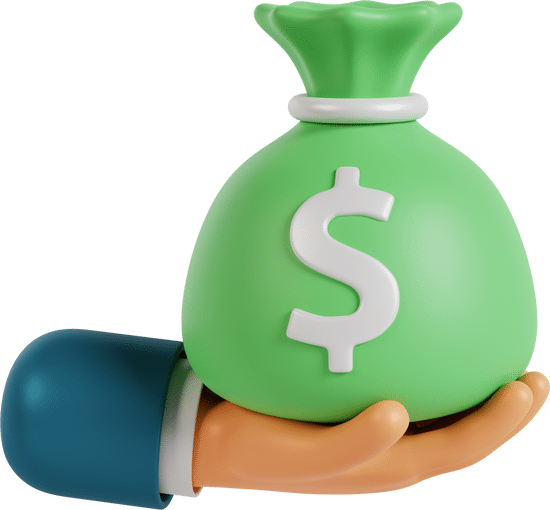 Cash bag emoji